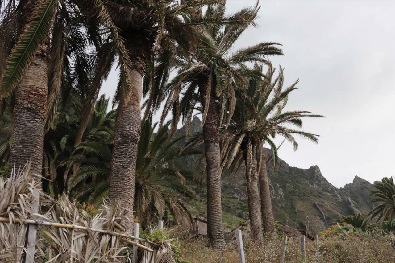 Oasis Atlantico: Rincon Secreto Al Pie De Los Senderos Azano 외부 사진